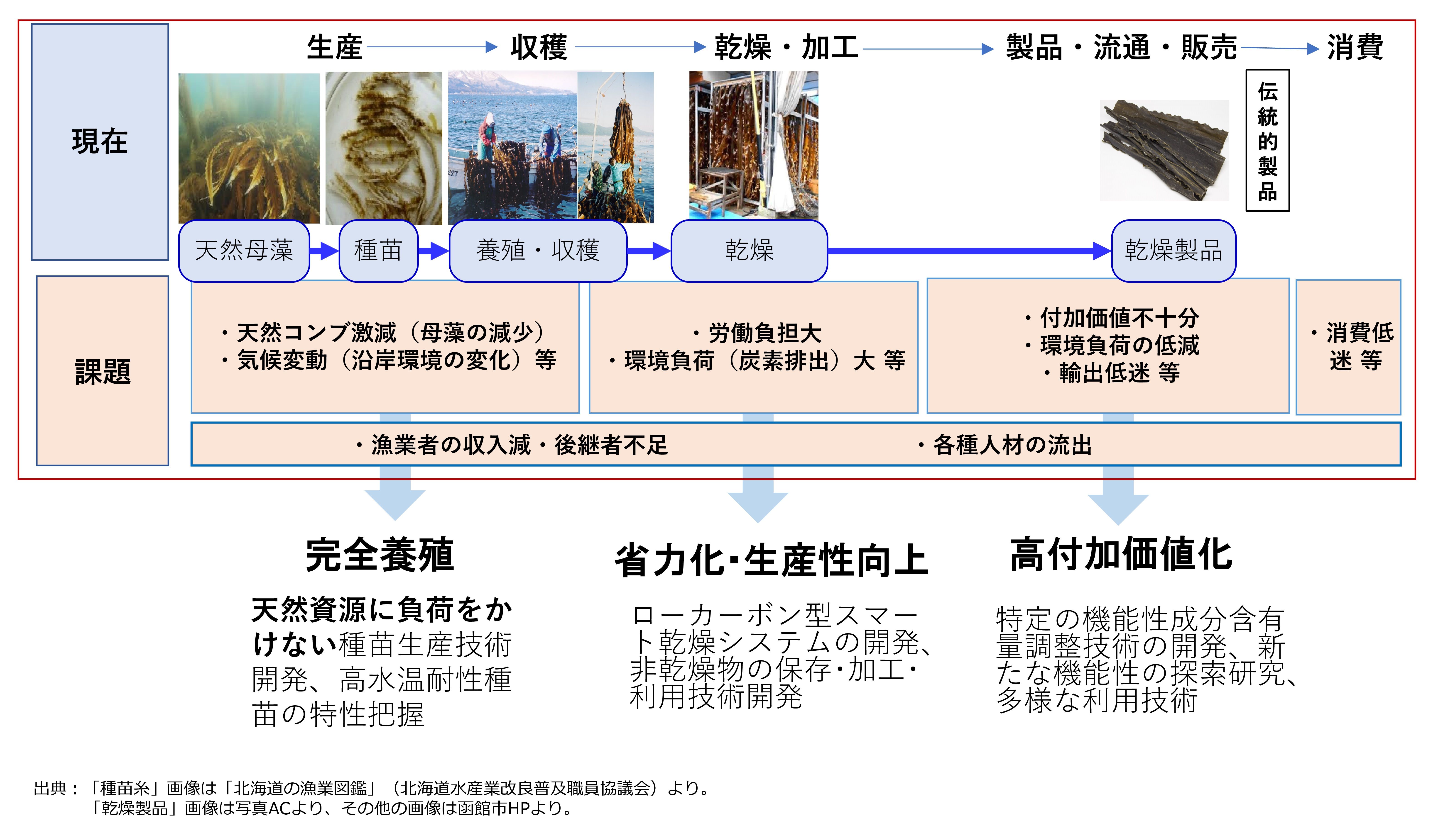 研究概要の説明の図